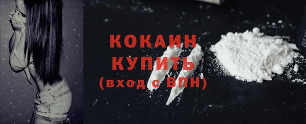 ГАЛЛЮЦИНОГЕННЫЕ ГРИБЫ Куйбышев