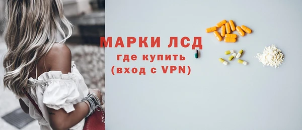 прущие грибы Лабытнанги