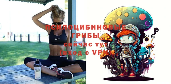 ECSTASY Кулебаки