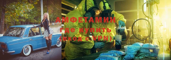прущие грибы Лабытнанги
