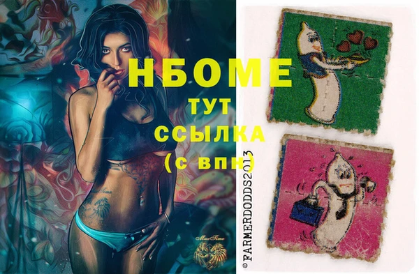 СК Кукмор