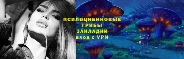 ГАЛЛЮЦИНОГЕННЫЕ ГРИБЫ Куйбышев